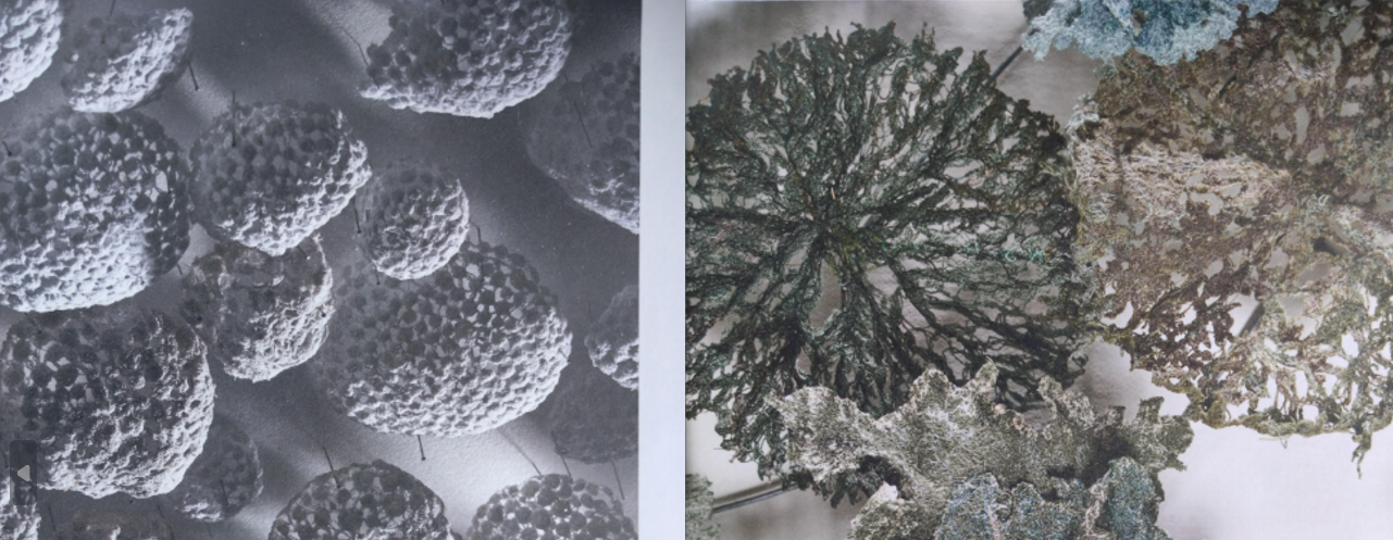 碩士在職專班 林淑娥 榮獲2025台中市第8屆纖維創作獎藝術類入選